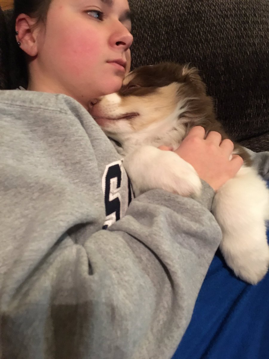 casey_bedigan's tweet photo. Don't know how I'm going to leave my puppies tomorrow 🐶🐶💕 https://t.co/8Ls94gEMFo