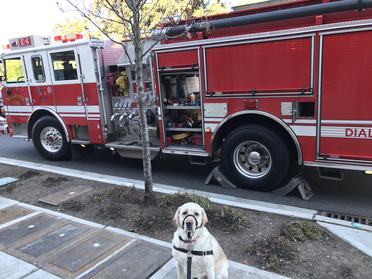 titus_the_lab's tweet photo. Thanks @BvueFD 4 quick response to alarm on NE12th today. We knew exactly what to do when we heard the alarm go off bcuz we've practiced it! https://t.co/if7WmPZBGN