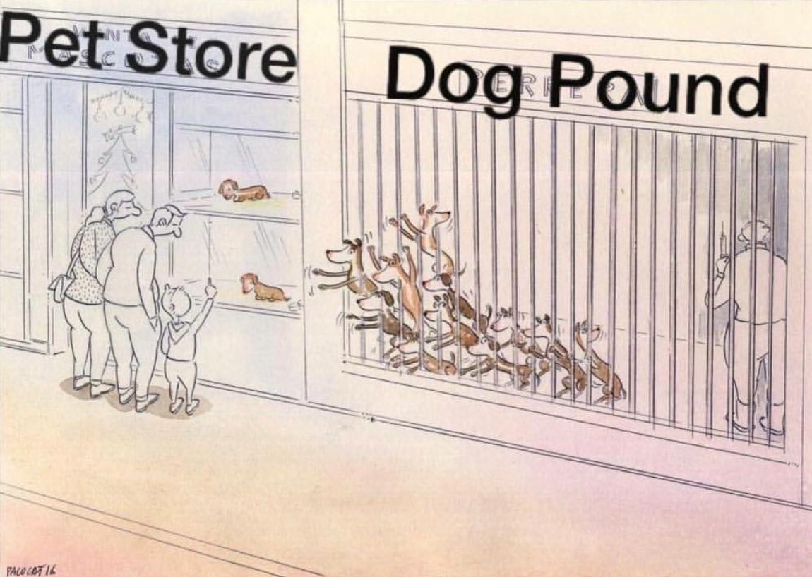 charmedminaj's tweet image. This makes me so sad.Please always go to the shelter❤️