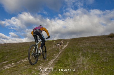 infotrailphoto's tweet photo. #CampeonatoMadrileñoMushing Galeria Fotos 1/2 por @jcdfotograf @canicross_3c  https://t.co/JoUdrDoTIA  TODOS LOS PARTICIPANTES. https://t.co/lGs39ToEfe