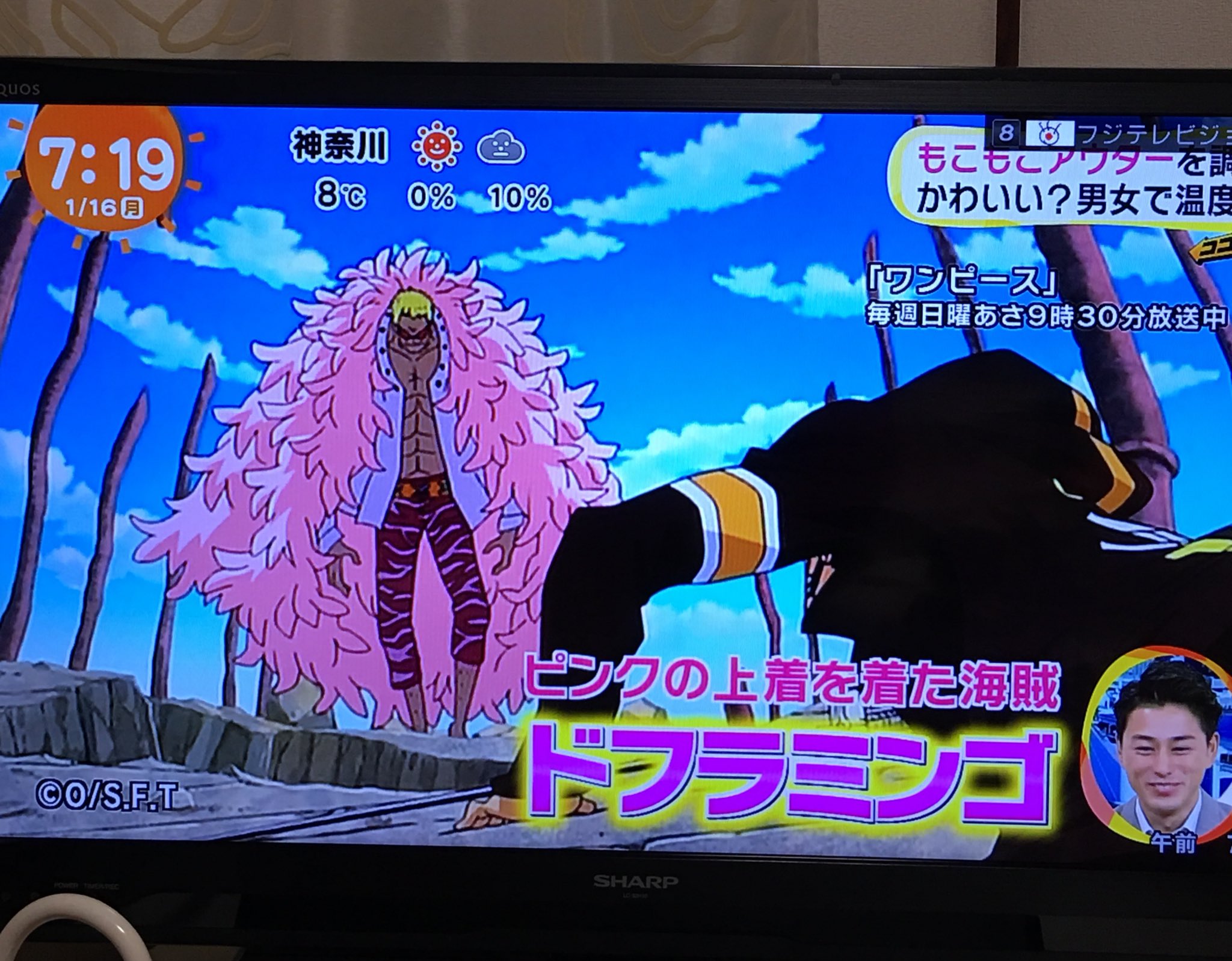 さぶれ ドフラミンゴ系女子ぃ T Co O1vo7csmuw Twitter