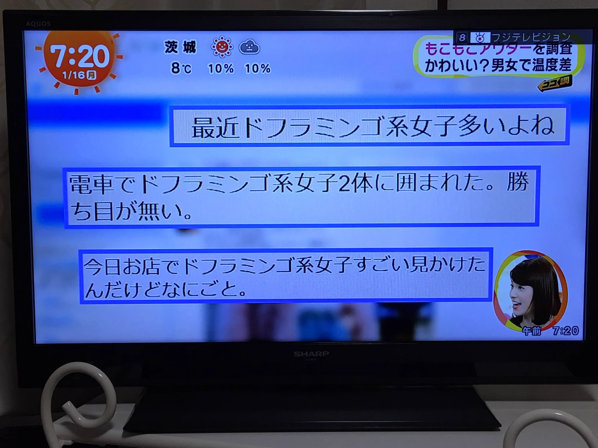 世の中では結構流行ってる？ドフラミンゴ系女子ｗｗｗ
