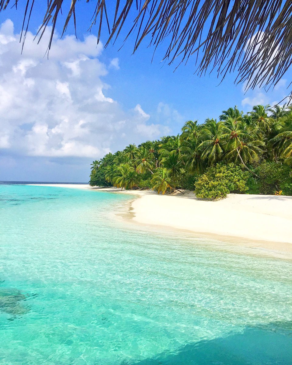 aaaVeeeParadise's tweet photo. "it's NOT a Resort, it's #Paradise ❤️️

#aaaVeee 💚💙 
The Authentic Award Winning - World Leading New Resort 2016
https://t.co/6CowhkPenD https://t.co/iEj7L1Adds
