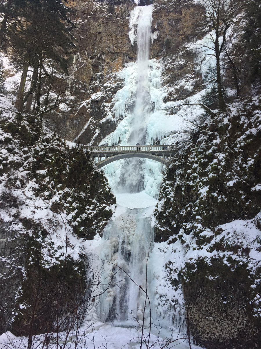 MeaganWristen's tweet photo. #MultnomahFalls today https://t.co/Gufe23s3Ki