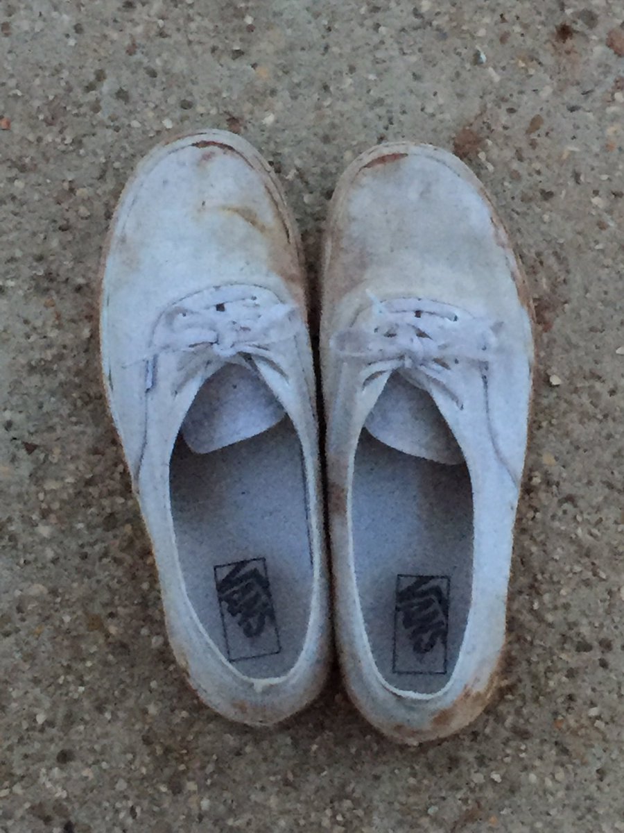alexanderparrot's tweet photo. When out exploring with Noah and Levi an fucked up my vans https://t.co/QSutok4lao