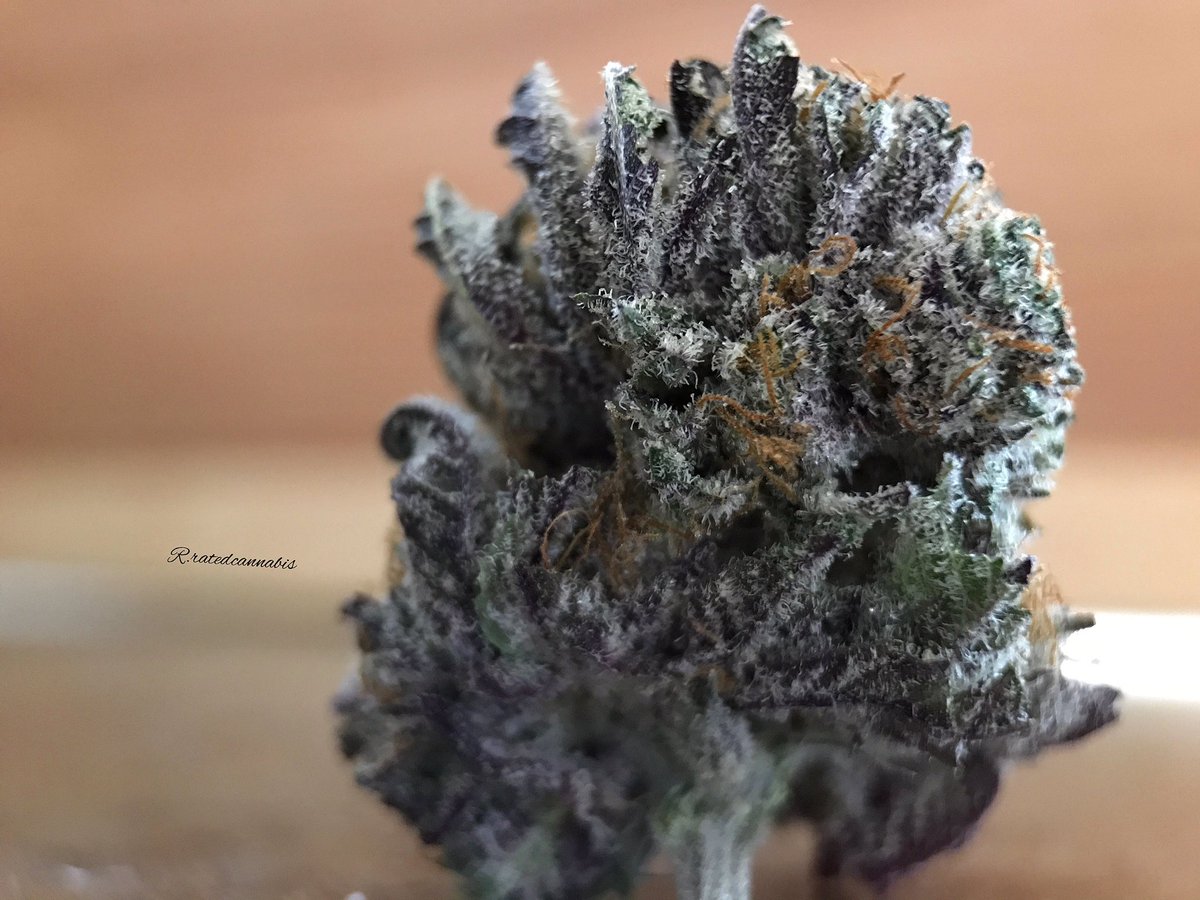 realbshow's tweet photo. Go follow my #cannabis iG @r.ratedcannabis @r.ratedcannabis 
@r.ratedcannabis @r.ratedcannabis
@r.ratedcannabis @r.ratedcannabis https://t.co/Qg3fCF3BXB