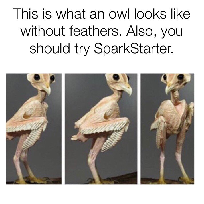 SparkStarterApp's tweet photo. #terrifying #nightmares #FriendApproved #dating #love #single #singleproblems https://t.co/UfvEWC5sjP