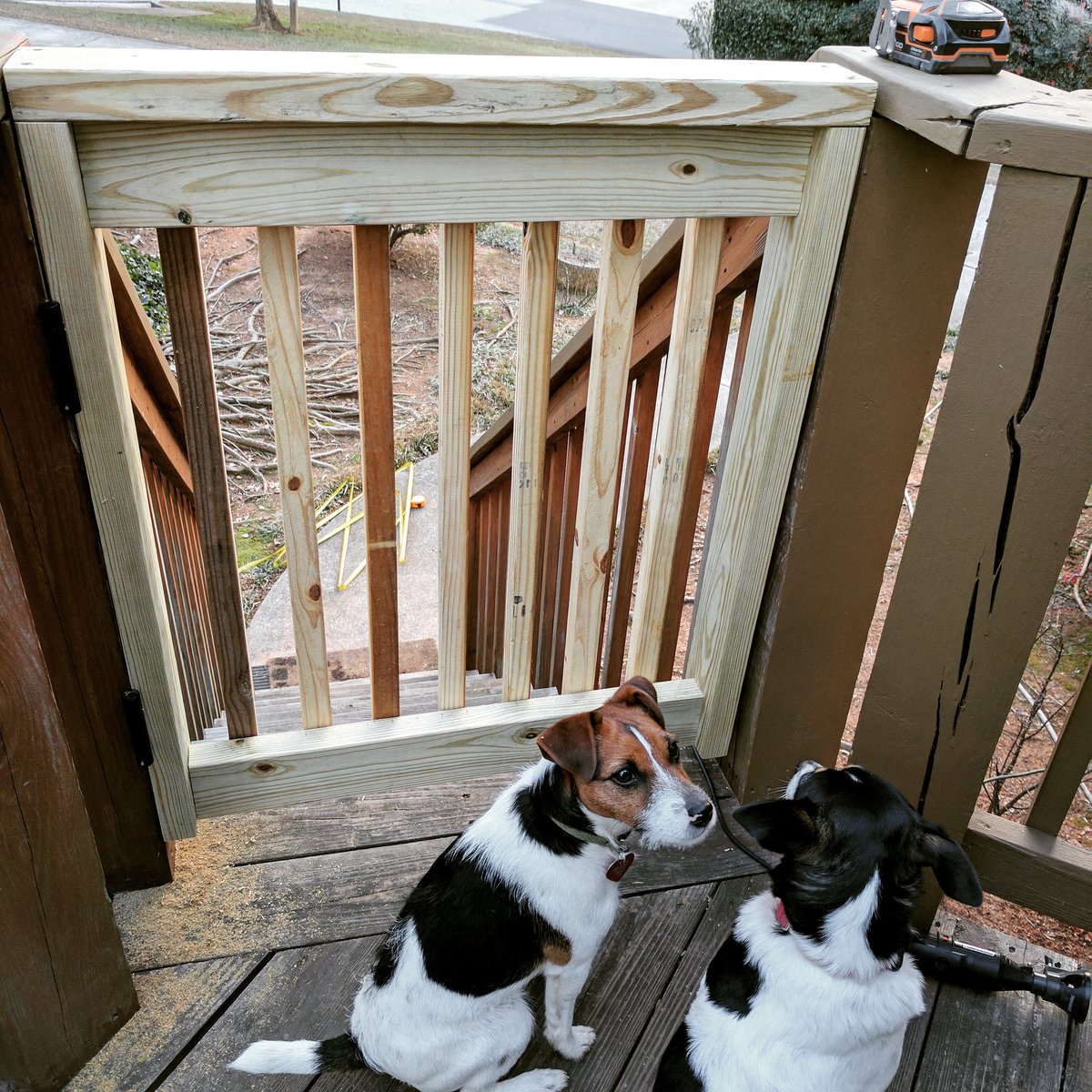 CanoeDock's tweet photo. Escaping puppy leads to Sunday carpentry. #diysunday https://t.co/2G0CGs2kwZ