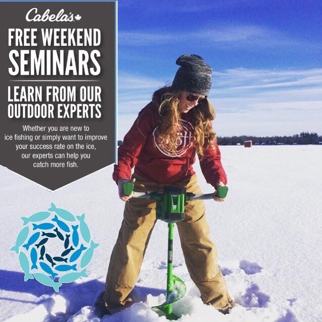 cara carmichael tweet media