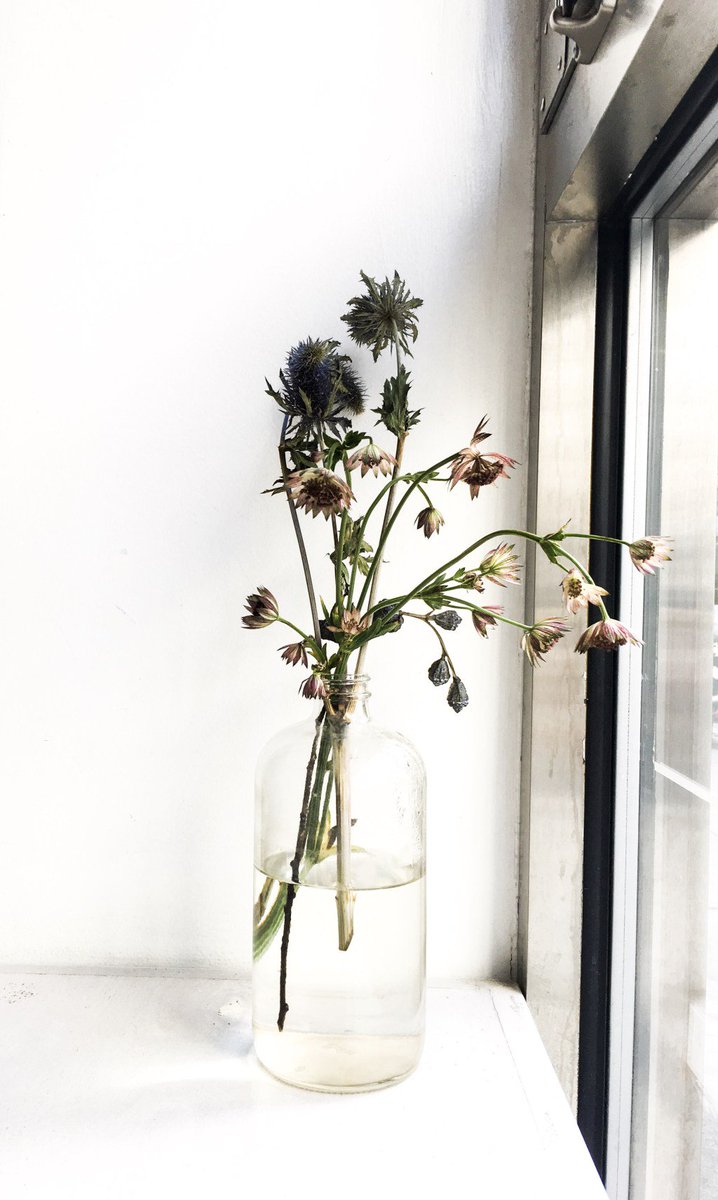 emilylaurae's tweet photo. FROMAGE // FLEURS https://t.co/46DWoSHn93 https://t.co/bBOFpay8B9