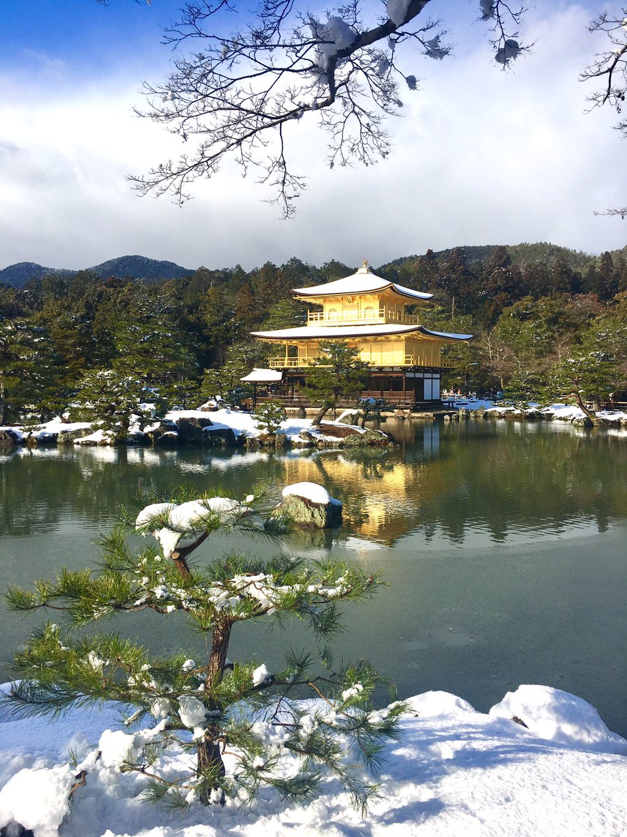 SchatzAge's tweet photo. #金閣寺 #京都 https://t.co/Q9wNzmDZlm