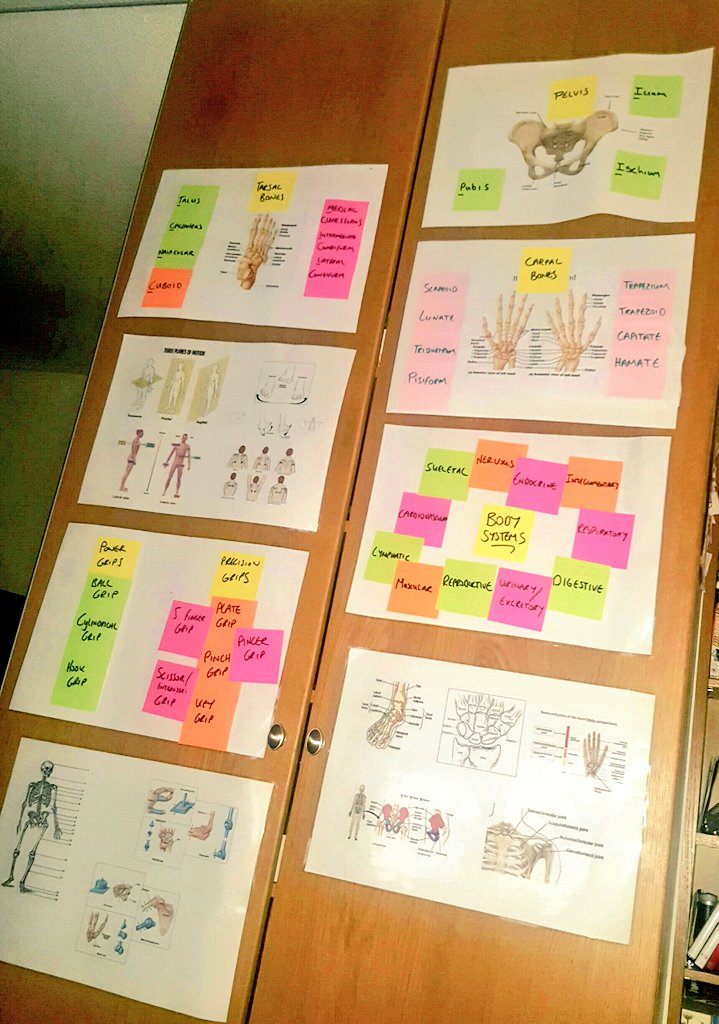 BenRobertsonOT's tweet image. Snapshot of the revision for my #OccupationalPerformance &amp;amp; #HumanFunction exam tomorrow am... back on the grind 😥