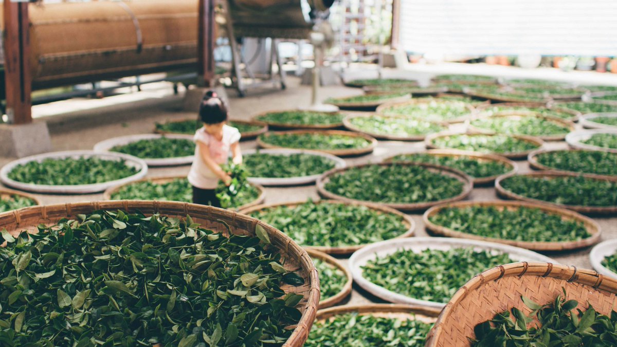 matchablog's tweet photo. Top 10 #Matcha #GreenTea product of 2017 (January) https://t.co/tajw0KMLlb https://t.co/kY16Vi9j9g