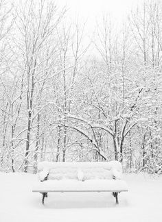 news24tvchannel's tweet photo. Watch: 'The Heaven on Earth' #heavenonearth #winters #snow #himachalpr https://t.co/R1HYp0jXmk https://t.co/8tUlELpdUw