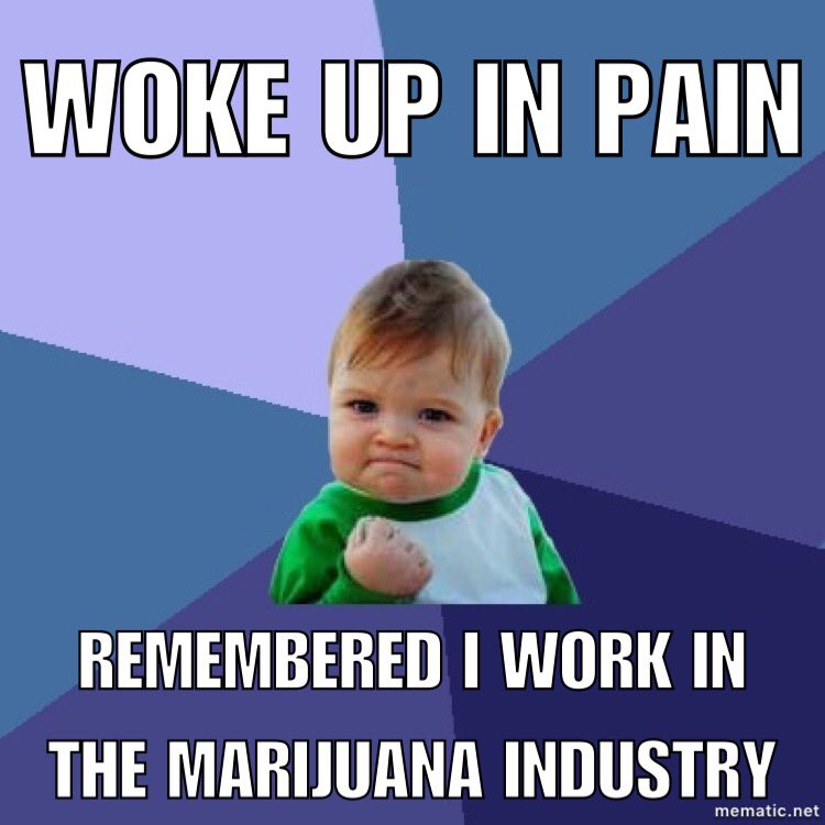 McBingCo's tweet photo. My life right now. #ommp #cannabis #ismokeweed #edibles https://t.co/IOIRTJAeJr