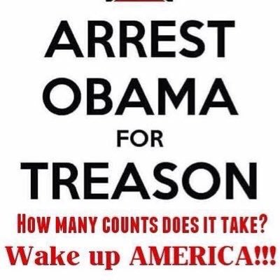 gullymn49's tweet photo. @RealJamesWoods @VetApologist @nypost It was an 8 year TERRORIST ATTACK. @BarackObama is a jihadist, a traitor, a FRAUD! #arrestobama https://t.co/i2gjwkoKcB