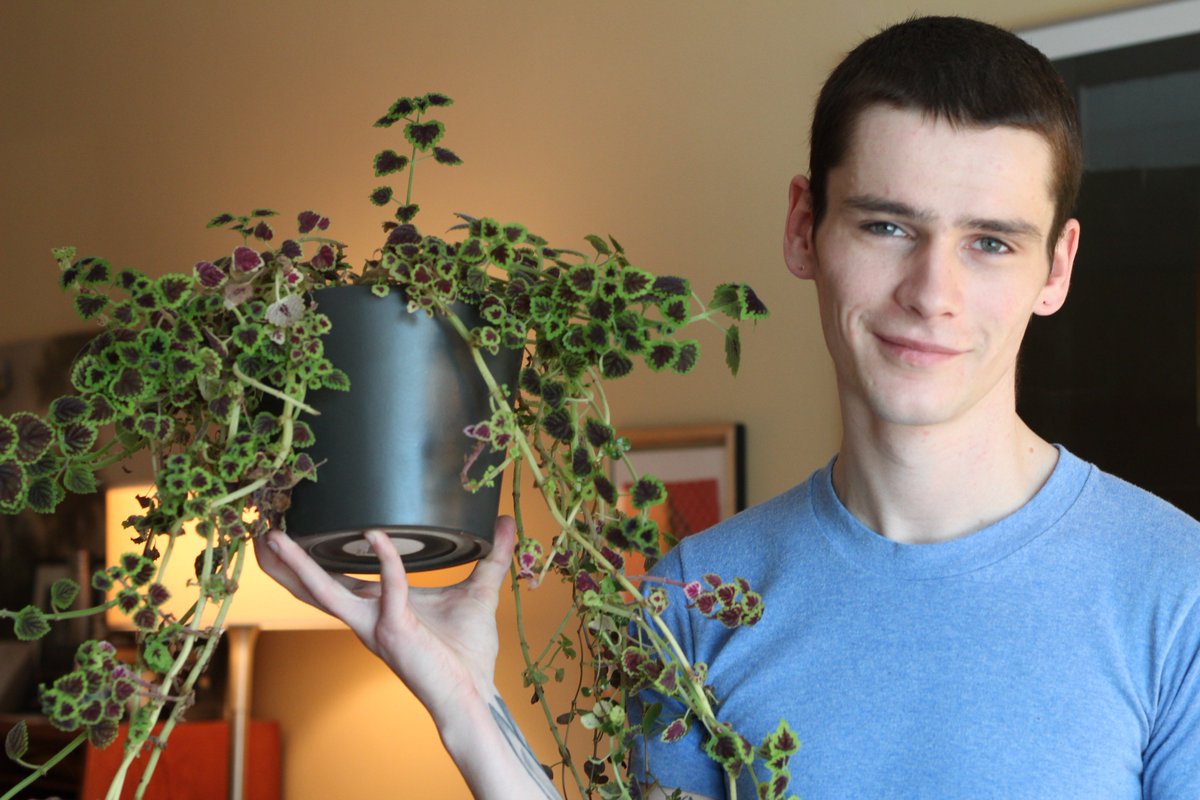 I just posted my ongoing photo series: People's Plants on my blog howmuchamanda.wordpress.com/2017/01/16/peo…
Check it out.