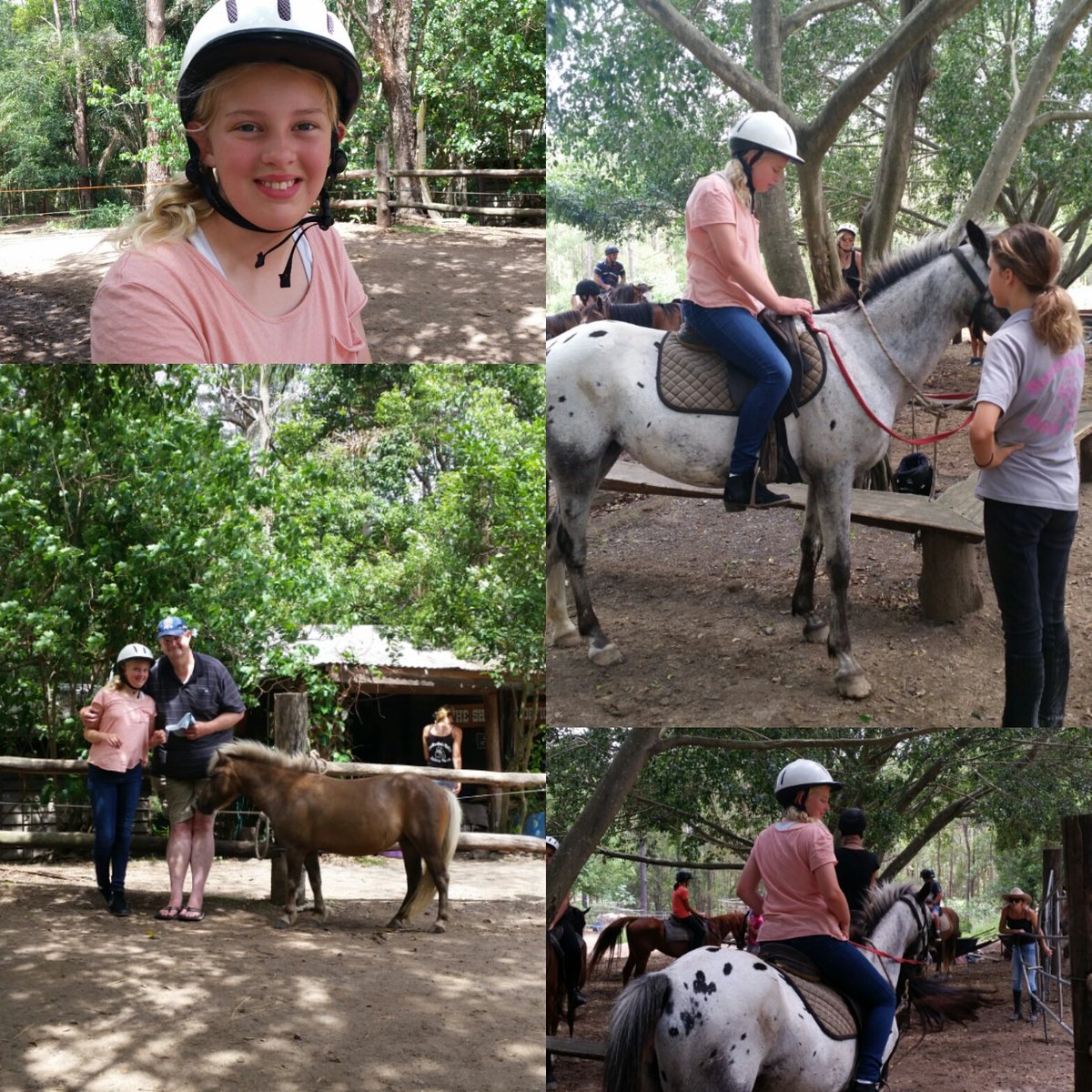 JenMCampbell's tweet photo. #MooloolahValley #happysummer https://t.co/FMfisxzNb7