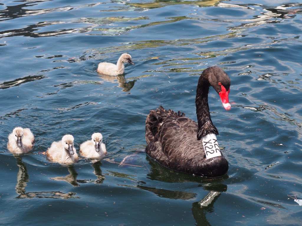 It's not always about a Three Wheeled Adventure...