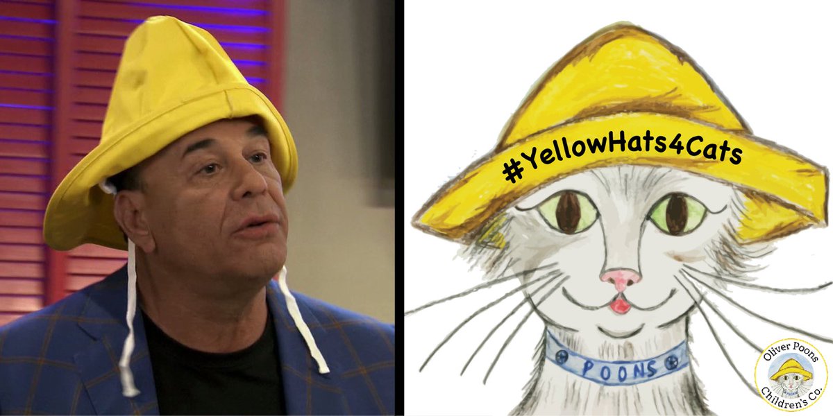 Hey <a href="/jontaffer/">Jon Taffer</a>! Yellow sure looks good on us fellows! Fund our mission. Help kids, cats, &amp; careers! 💛#NationalHatDay igg.me/at/catsforacau…