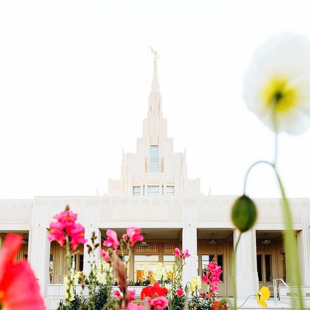 onetempleaday's tweet photo. Phoenix, Arizona

PC: @brittneygurrphoto 
#ldstempleaday #ldstemple #lds #mormon #phoenixt… https://t.co/00JTRasgtN https://t.co/aRCN1UXc51