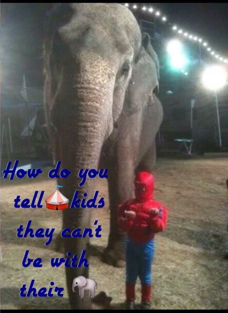 iycwhat's tweet image. @realDonaldTrump Save Traditional🎪We are still Fighting #ARLies our Kids future need 🐘#SecAG pick @trentloos @mike_pence @TheCavalryGroup