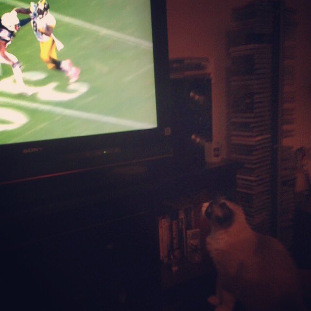 KitchenSprout's tweet photo. #SundayFunday #NFLPlayoffs #PITvsKC #GatsbyLovesFootball #Homegating #GamingNGrazing #Charcuterie #CheeseNCrackers #AssortedMeats #Wine 🏈🙌🏻🏈 https://t.co/maoSXOfeY2