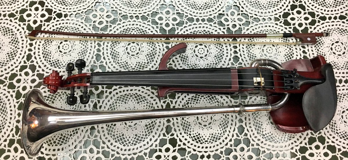 Ami Oike Violinist Ar Twitter 昨日はこんな可愛い楽器 に出会ったの 弦の振動がコマを伝わってラッパから音が出る仕組み 可愛い音が出ます いつ誰がどこで作ったんだろ なかなかの年代物みたいです 結構重い 楽器 名前が知りたい 珍楽器 これ何