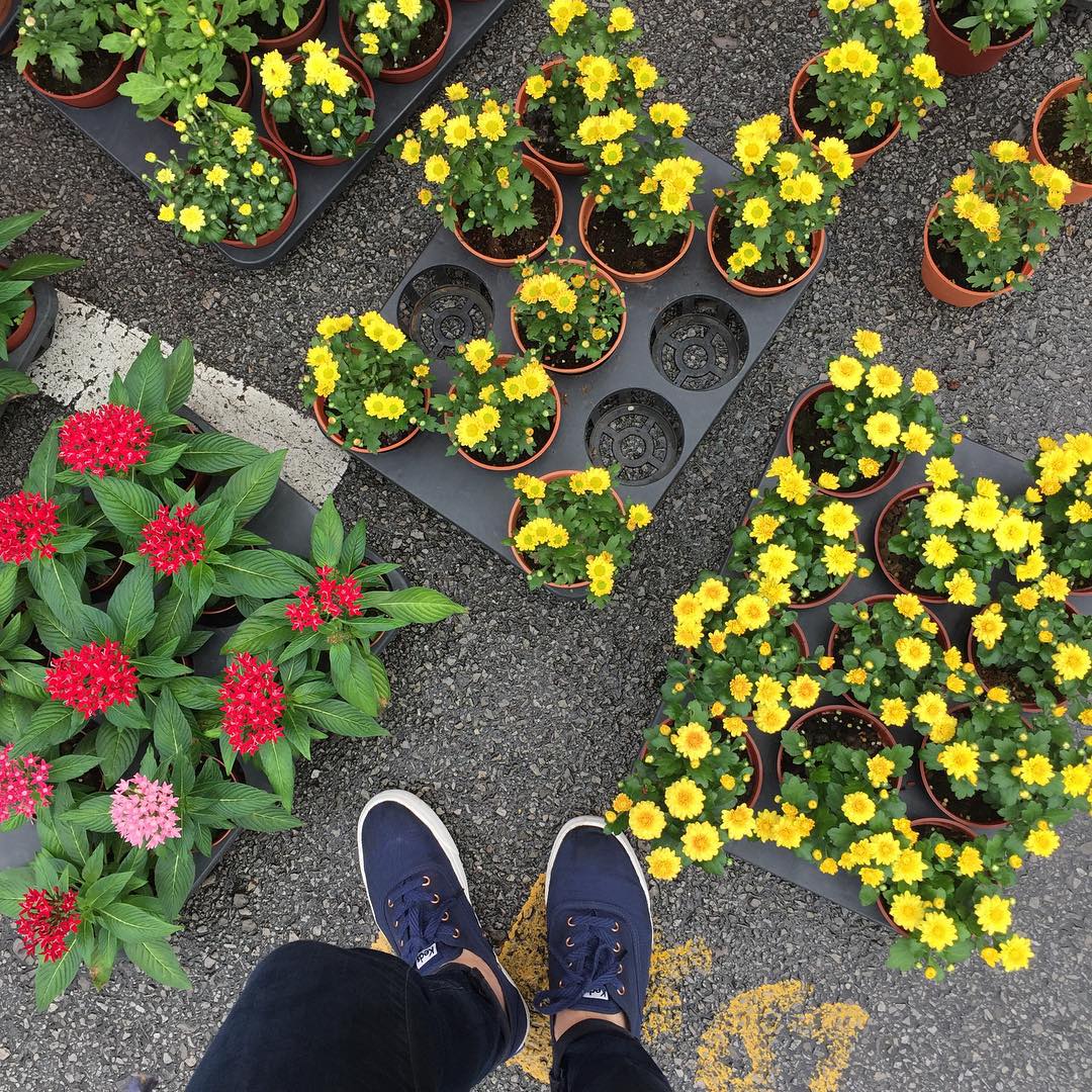 website keds indonesia