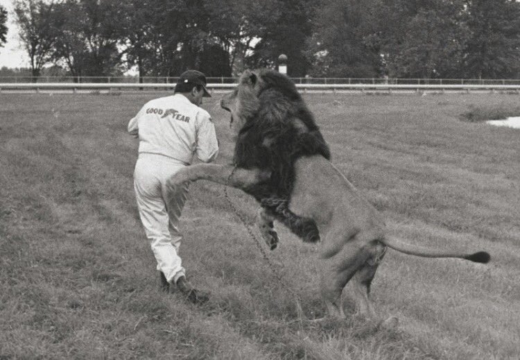 Happy 82nd birthday to the mighty AJ Foyt. Here he is playing with a Lion. How drivers used to train! 