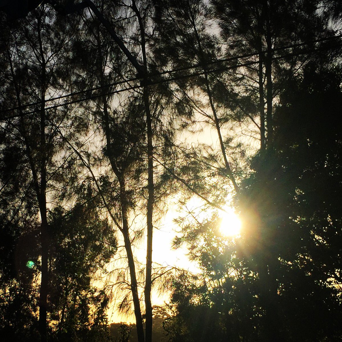 MerrickPhillip's tweet image. When you hop on train at right time, without checking, you get to reflect on world a few stops after where you wanted to go #timetablefail