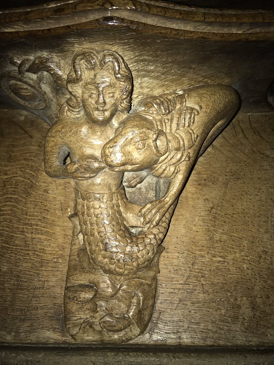 inner_lives's tweet photo. A mermaid suckling a lion on a medieval misericord in Norwich Cathedral. #MondayMermaid https://t.co/35zzIVGTjQ