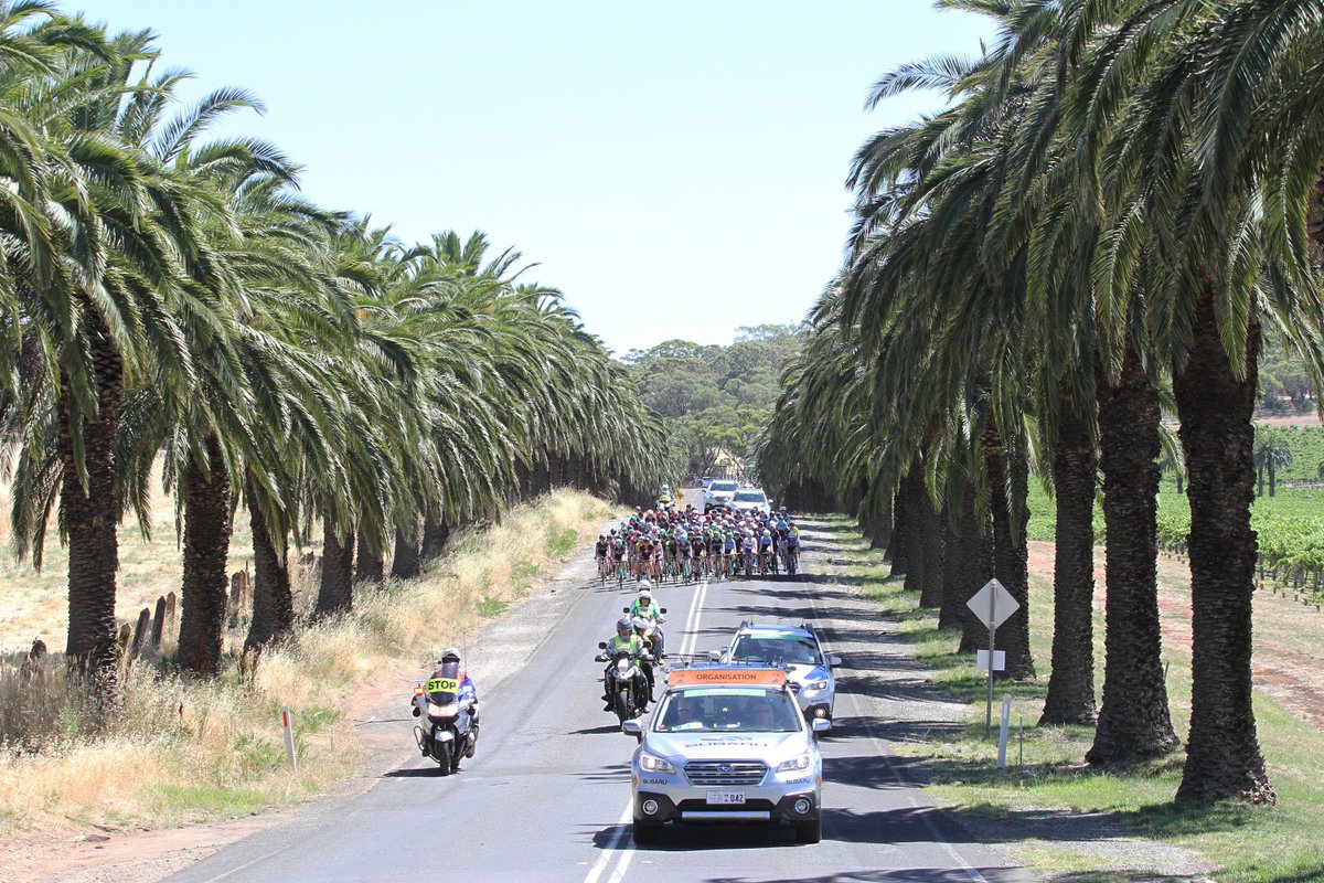 Check out our super Stage 3 image gallery, online now! 

high5dreamteam.com/news/2017-sant…

#H5DT #TDU #womenscycling