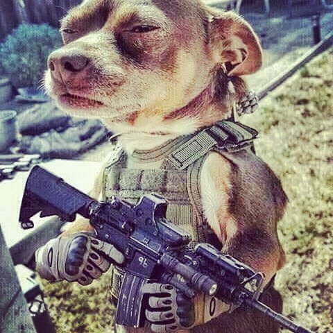 OMZCuringa's tweet image. #NewProfilePic