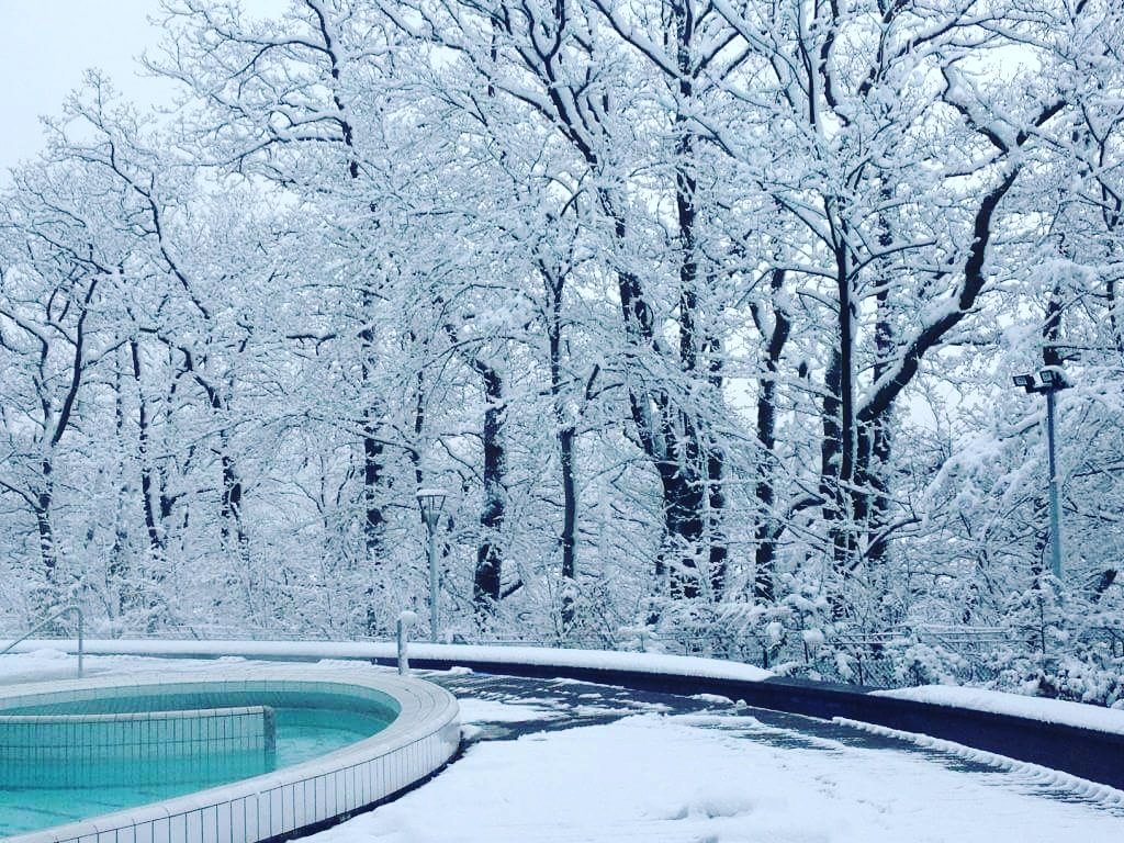 ThermesdeSpa's tweet photo. L or blanc depose toute sa splendeur aux @ThermesdeSpa  #snow #pooloutdor #thermalcity #Spa #wellness #snowland https://t.co/htpcwUEyx1