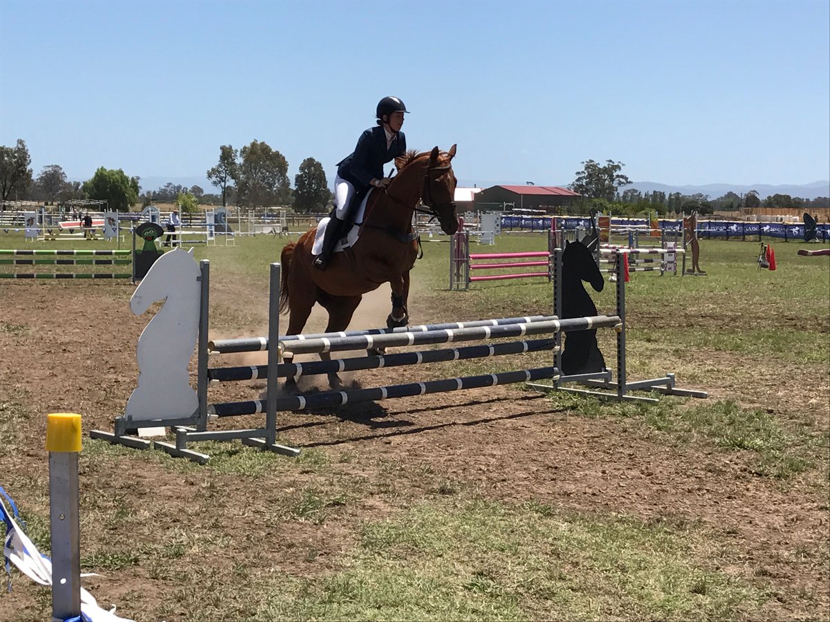 Racing's tweet photo. Retired G1 winner Happy Trails made his professional show jumping debut on Sunday. Who says you can’t teach an old dog (or 🏇) new tricks! https://t.co/zJSlSBiIy7