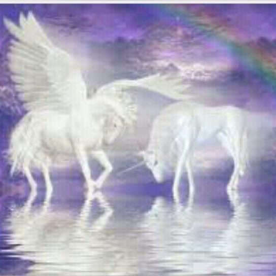 TheMysticLotus's tweet image. #UnicornCardReadings #AllThisWeek on #TheMysticLotusVioletFlame #Whatsapp #joinin ! #saytheword #yestovf #senditin to +919830051888