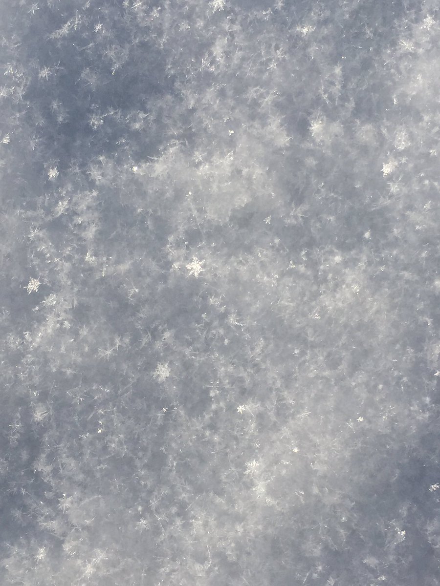 JapaneseBaobao's tweet photo. วันนี้หิมะตกเป็น Diamond Dust แบบแฉกๆ ❄️ กระทบแสงแดดเป็นประกายระยิบระยับ สวยมากๆ ❄️ https://t.co/C7jq4jHxJ7