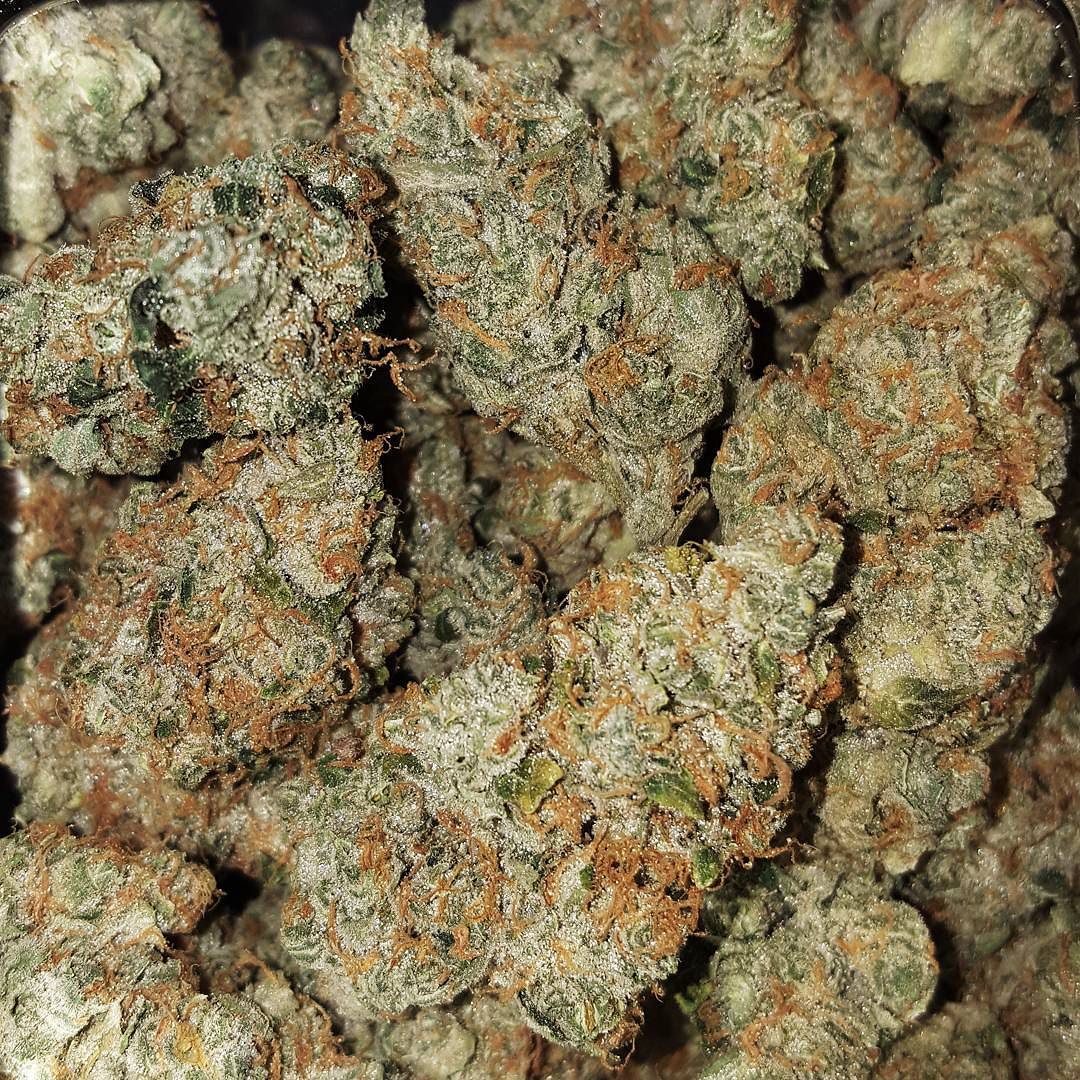 ReefsideHC's tweet image. #Indica #sativa  #cannabiscommunities #StonerNation #HighLife #topshelflife #trichomes #reefsideHealthCenter
😇Jesus OJ😇