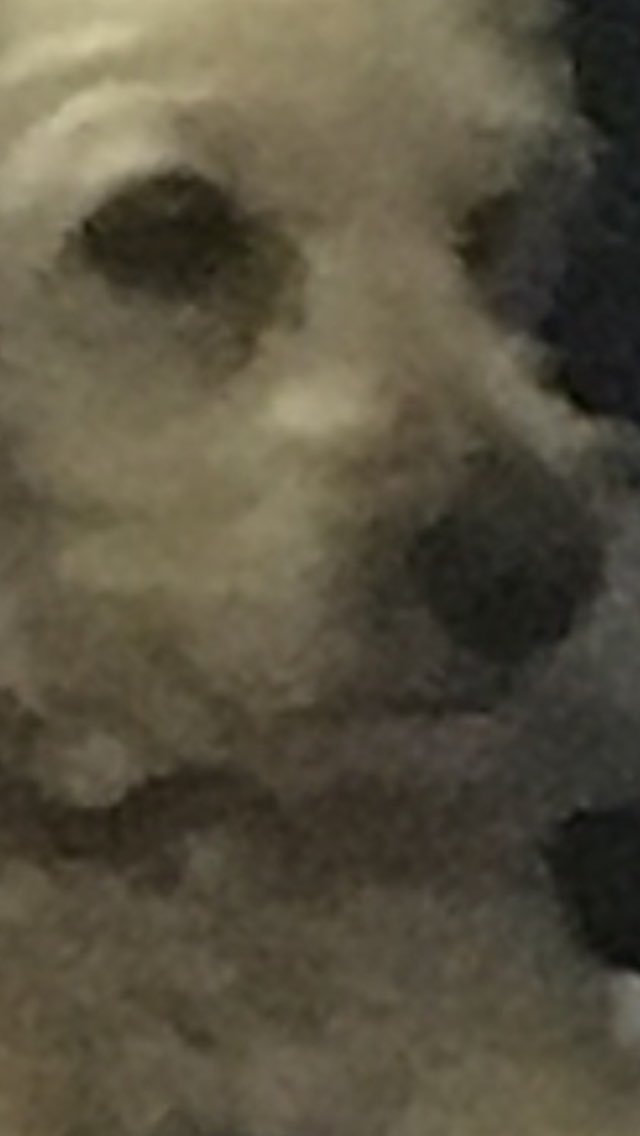 Me when I hear people talking shit about me 🙂