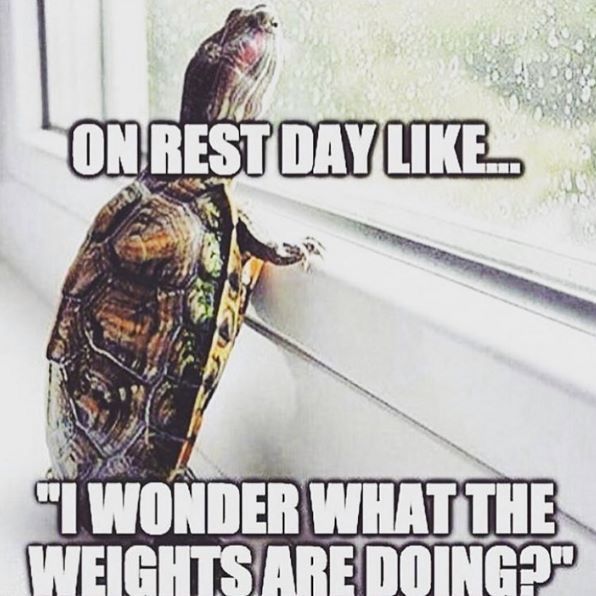 RandWorkGen's tweet image. Don't miss me too much Gym, I'll be back in 1 day! buff.ly/2iv1sHK
