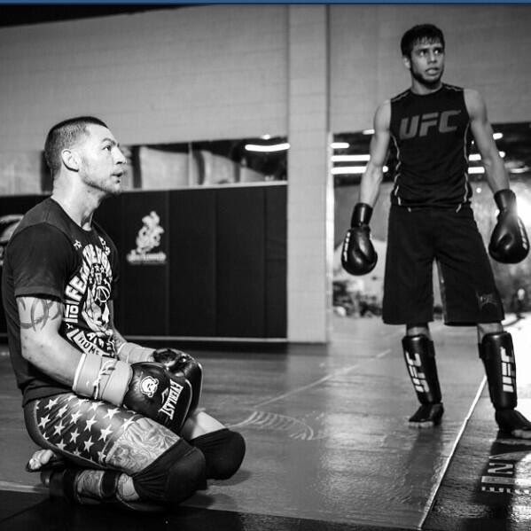 CubSwanson's tweet photo. Congrats @panteraufc you deserve big things :) https://t.co/Y7zxi7otF9