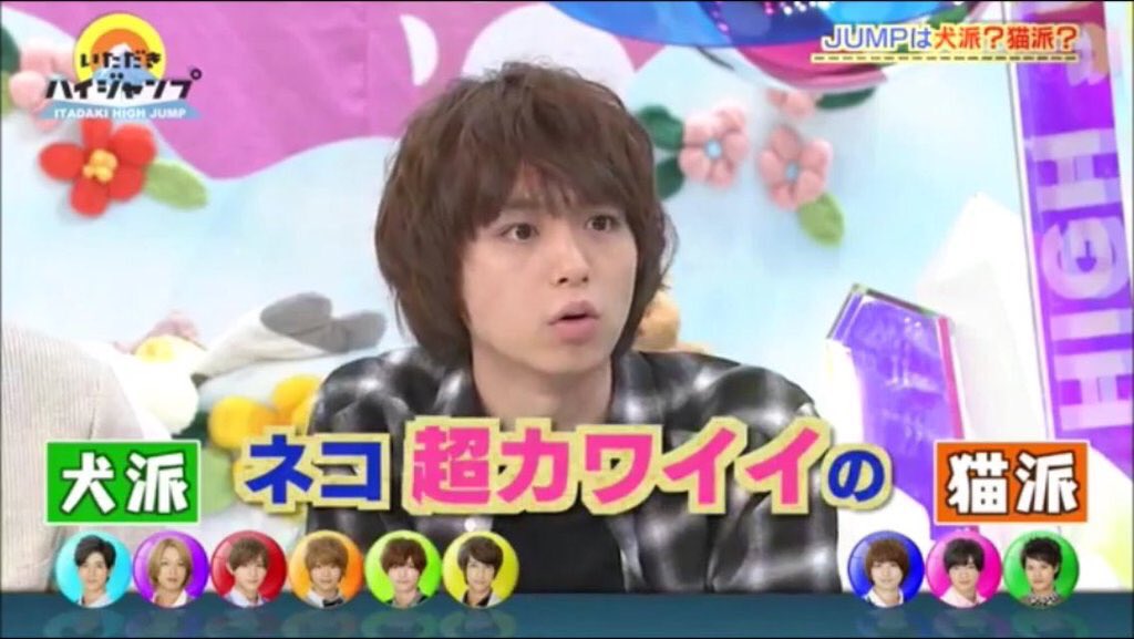 ぺ氏 元ネコ派 だったけど手越宅のパピヨンが可愛くなっちゃって母にパピヨンがいいって言ったのに仕事から帰ったら家にシュナウザーがいて けど愛着湧いて犬派 になった約10年後には ジャニーズ１の猫好き男子 と呼ばれるようになったのが伊野尾慧です