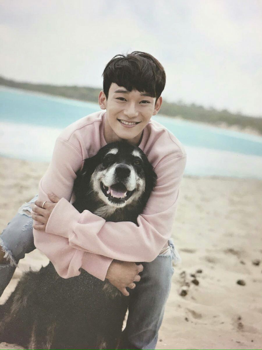 JackieN93246795's tweet photo. #SmilingWithJongdae
#WeLoveJongdae
Mi gatosaurio❤ me gusta verte happy https://t.co/CDQGupRV2x