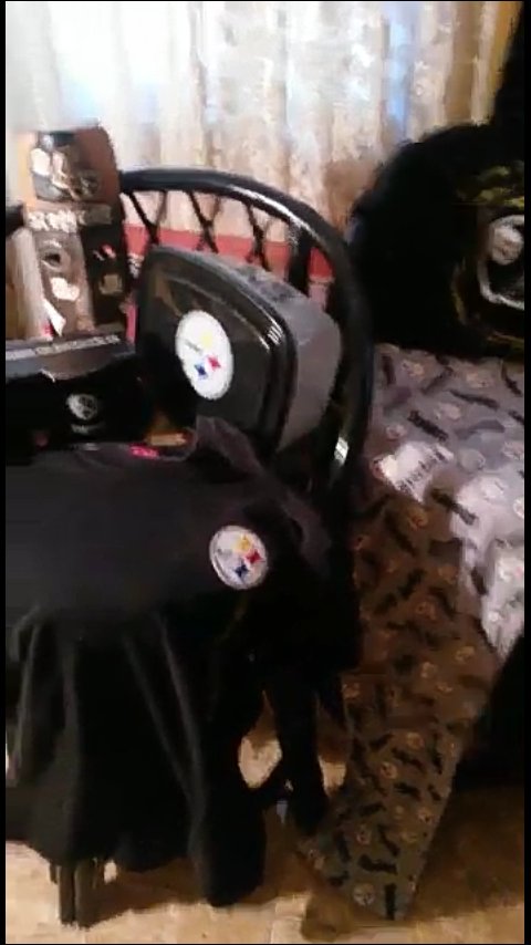 Hildiitta's tweet photo. Tengo un video de la colección de Steelers de mi papá, pero no se como enviarlo, realmente es un super fan @marisolglzz @MarisolFanFan https://t.co/NTK7GOEohh