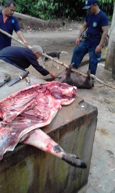 Markus Bui (@markus_bui) on Twitter photo 