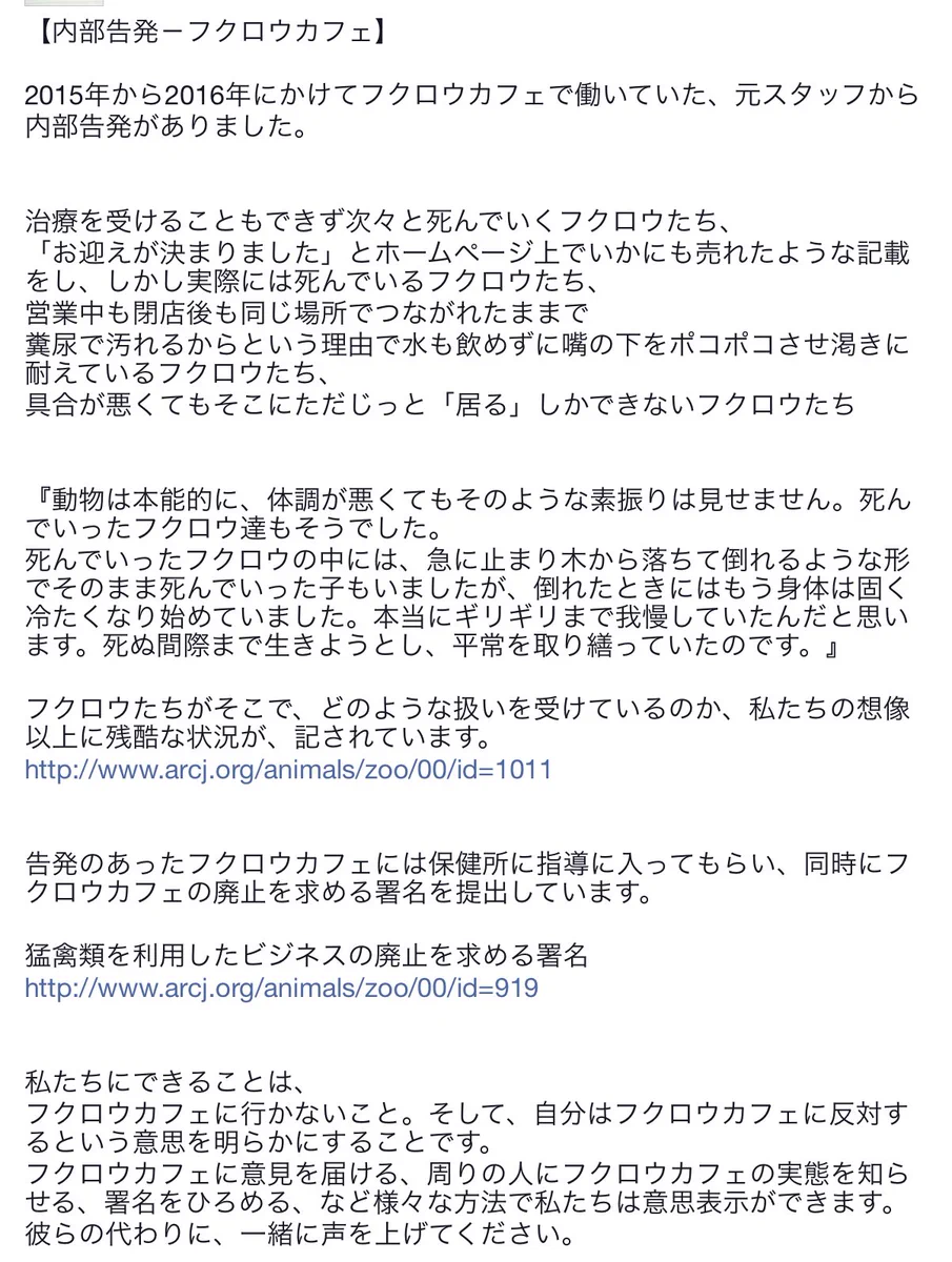 これは酷い・・・フクロウカフェの残酷すぎる現実とは？