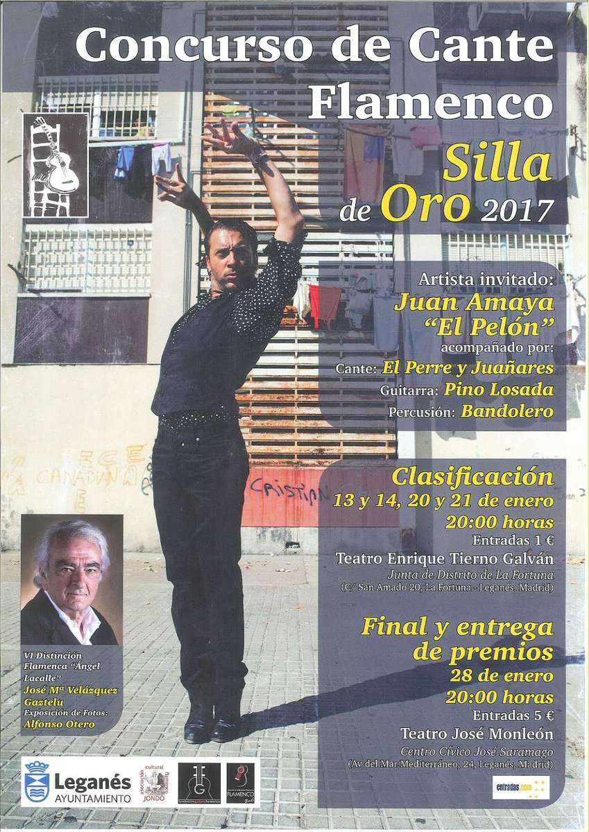 FUNDACIÓN GUITARRA FLAMENCA
fundacionguitarraflamenca.com