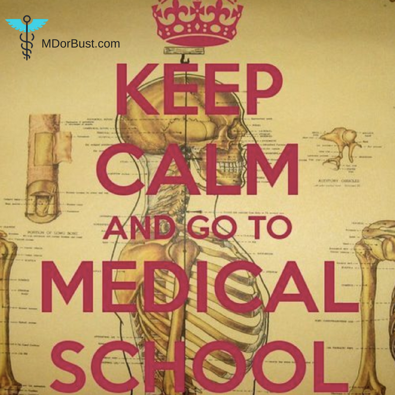 MDorBust tweet media