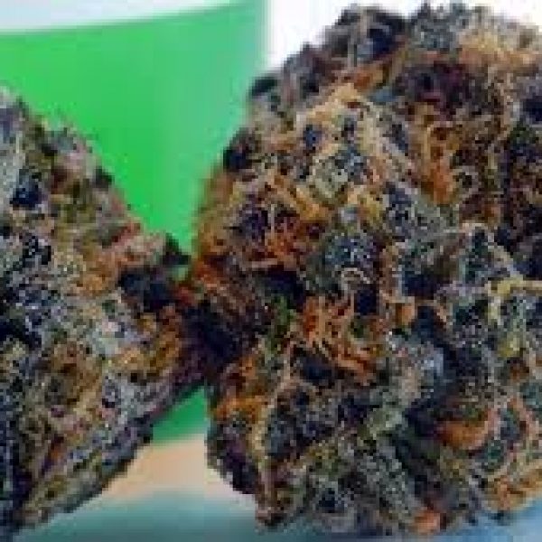 budsonwheelsoc's tweet photo. God’s Gift!  #Indica, #hybrid, #medicalMarijuana, #cannabis, #medicalcannabis, #marijuana, #buds, #khus  To order call at 855-888-2837. https://t.co/DzF6r5chm5